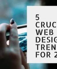 5 Crucial Web Design Trends from 2017