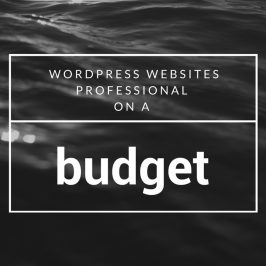 Wordpress Websites - Professional Websites on a Budget Wordpress Websites - Professional Websites on a Budget