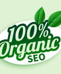 How Many Search Factors Determine Your Organic SEO RANK?
